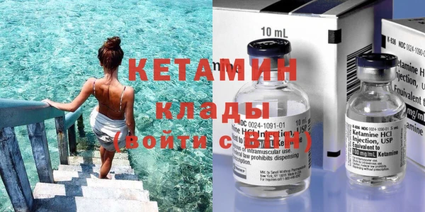 индика Дмитриев