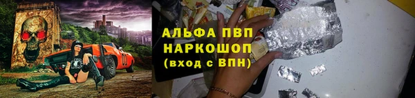 индика Дмитриев