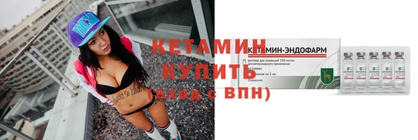 индика Дмитриев