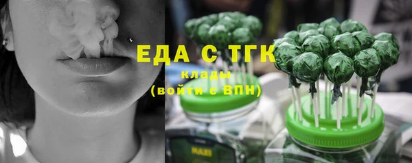 индика Дмитриев