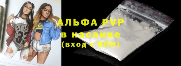 индика Дмитриев