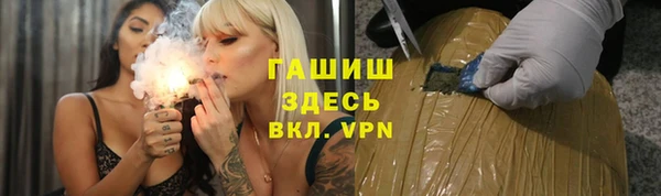 индика Дмитриев