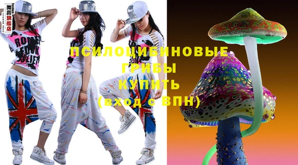 индика Дмитриев