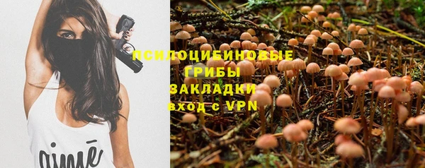 крисы Дмитров