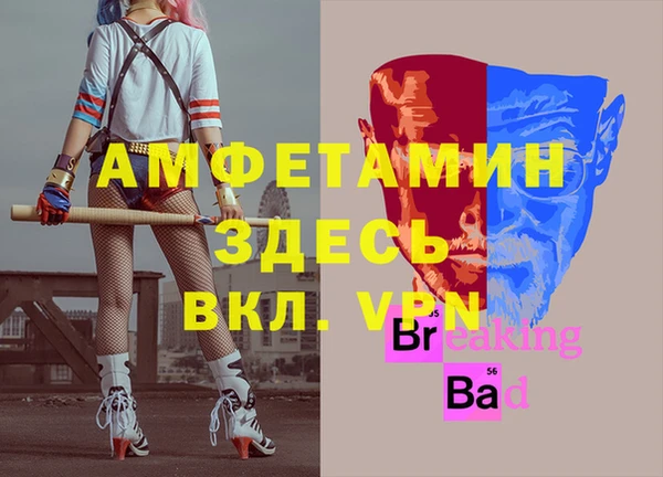 крисы Дмитров