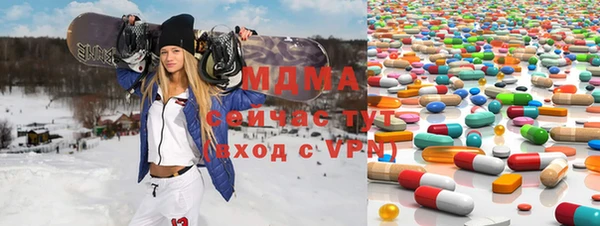 индика Дмитриев