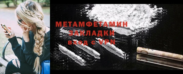 индика Дмитриев