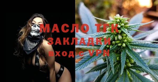 индика Дмитриев