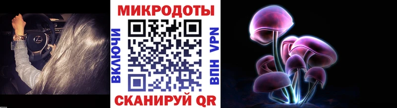 Купить закладки  Шахунья  Псилоцибиновые грибы Magic Shrooms 
