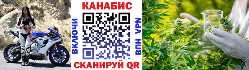 Купить где Шахунья Бошки марихуана конопля